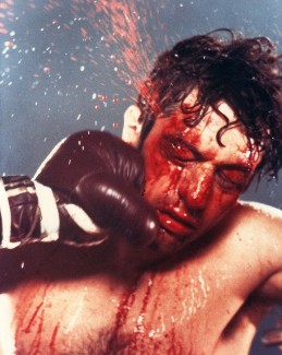 800ragingbull