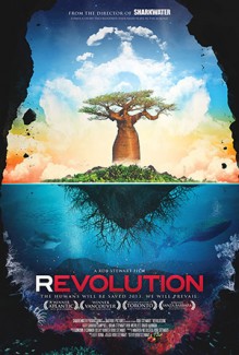 revolution-movie-poster